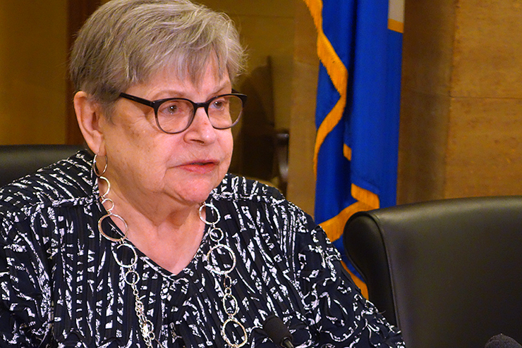 Senate Taxes Committee Chair Ann Rest