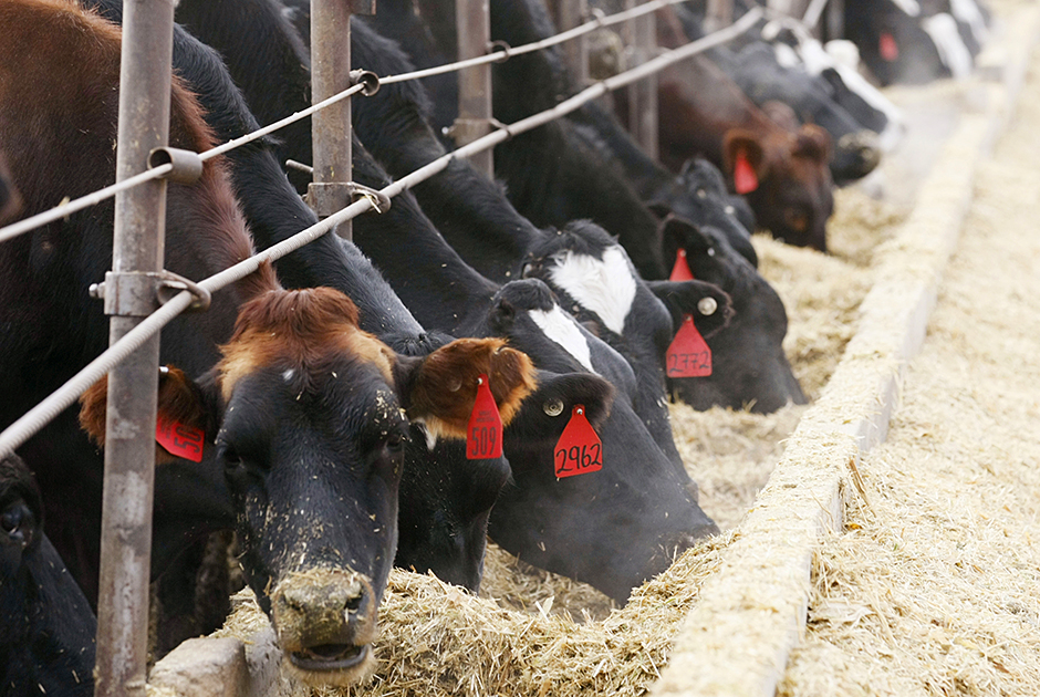 The Minnesota Pollution Control Agency has created an online tool to develop a manure management plan.