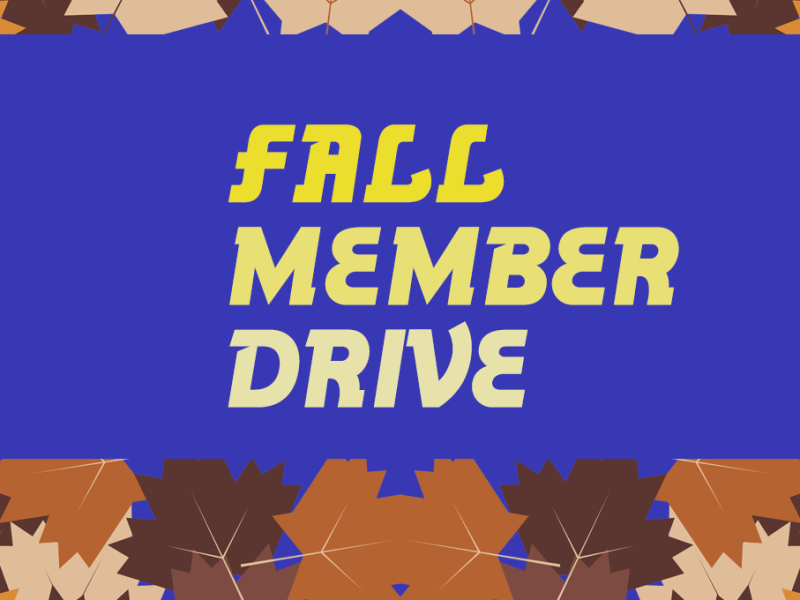 MinnPost Fall Member Drive