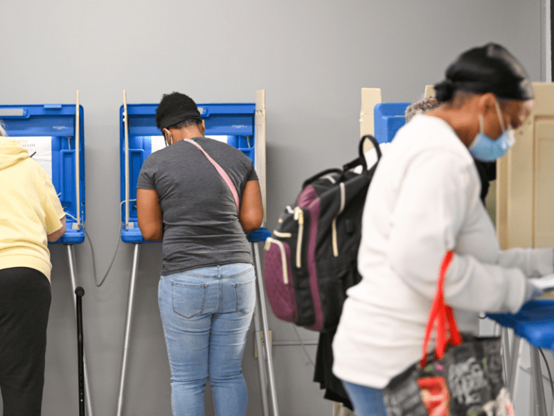 While what some call ballot fatigue comes into play with all voters, regardless of party preferences, the study by Sister District Project concludes that Democrats suffer more when voters leave races blank.