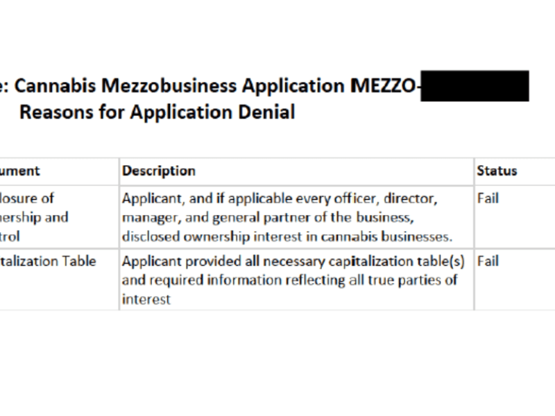 Two-thirds of Minnesota social equity cannabis license applicants denied for inadequate documentation, some shenanigans