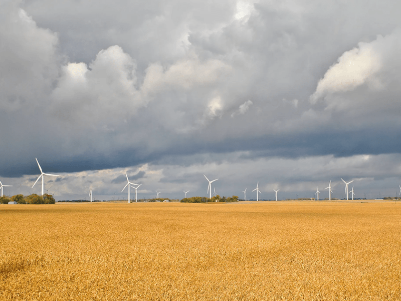 Rural Minnesota counties work together to simplify clean energy development and maximize local benefits