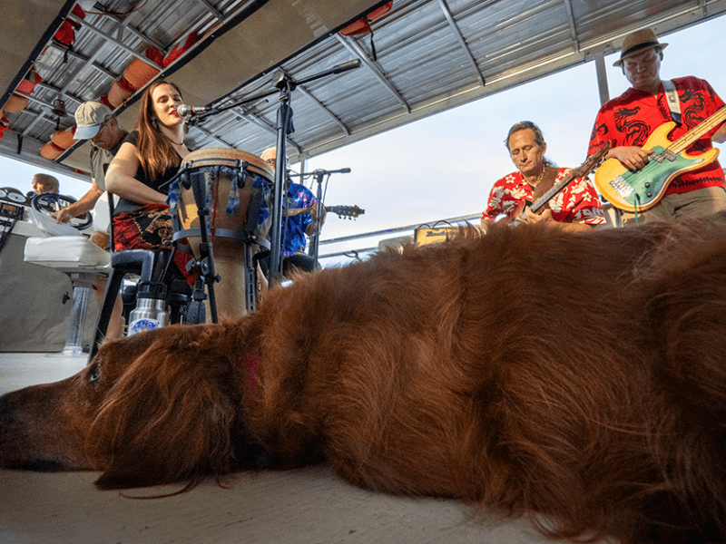 Big Blue Sky members Sophia Landis, left, Jon Stravers, Folko Landvogt and Jason McCullick perform (and Willow, the boat captain’s dog, listens) during a Sept. 13 music cruise on the Mississippi River between Marquette, Iowa and Prairie du Chien, Wisconsin.