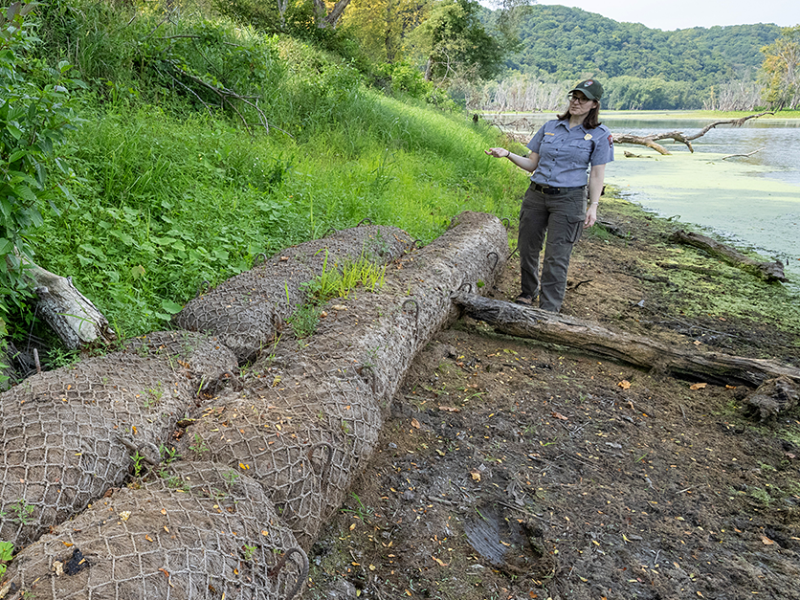 Effigy Mounds National Monument museum technician Sheila Oberreuter walks along coir logs in the Sny Magill Unit of the park along the Mississippi River near Clayton, Iowa.