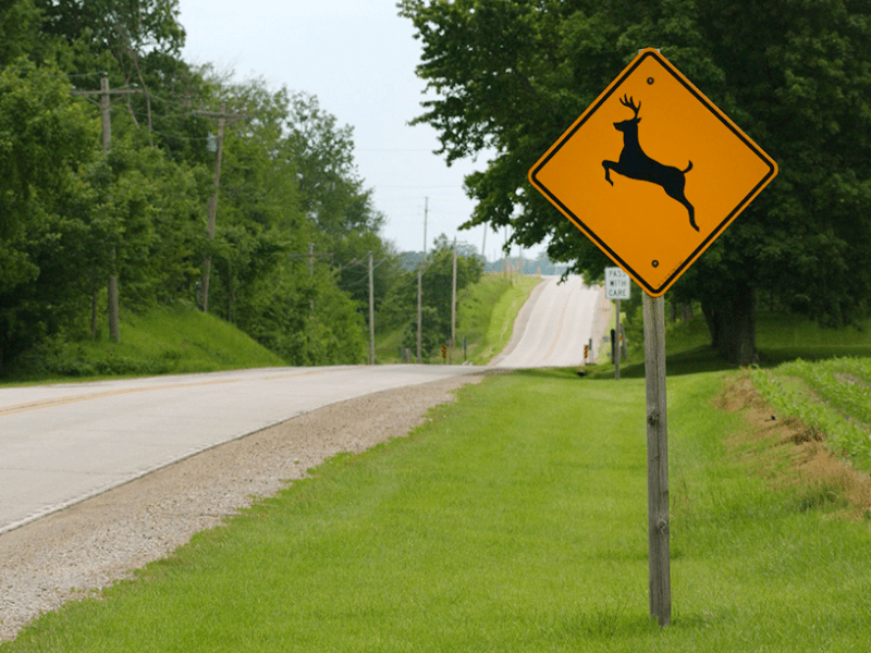 Deer crossing sign