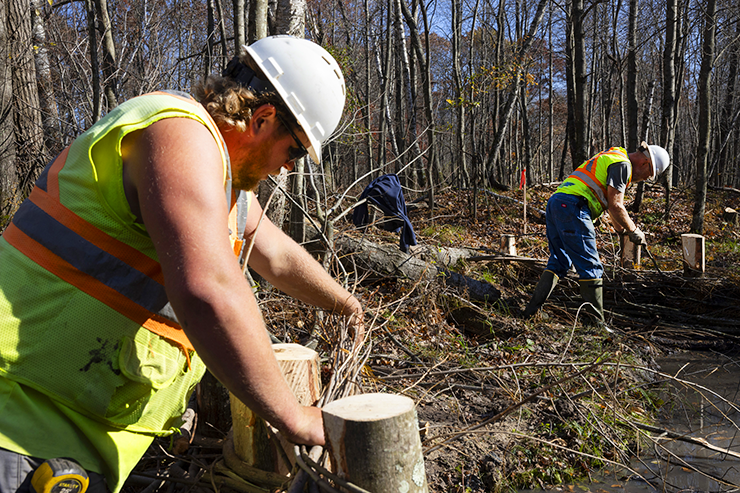 Joel Pennycamp, an employee at Hoffman Construction, left, and Jay Dee Nichols, right, weave sticks and tree branches while working on building a series of artificial beaver dams in Alma Center, Wisconsin.