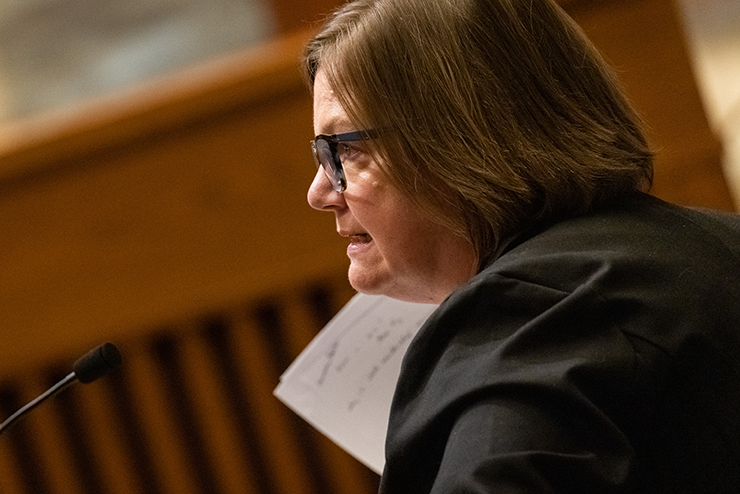 “Petitioners ask this court to resolve the interpretation of five words in the constitution — ‘a majority of each house,’” said Solicitor General Liz Kramer, representing Secretary of State Steve Simon.
