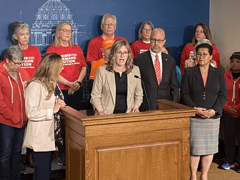 State Rep. Kelly Moller speaking during Monday’s news conference.
