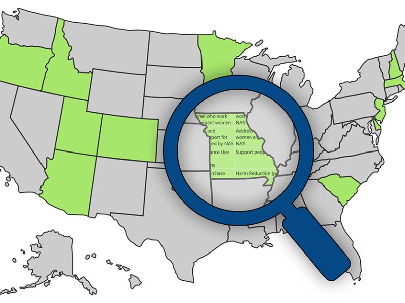 12 States Promised To Open the Books on Their Opioid Settlement Funds. We Checked Up on Them.