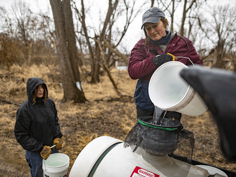 Abigail Barten, right, pours and filters raw maple syrup into a tank for collection on Thursday, March 16, 2023, at Indian Creek Nature Center in Cedar Rapids, Iowa.
