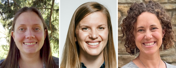 Alexis Swendener, PhD; Hannah MacDougall, PhD, MSW; Carrie Henning-Smith, PhD, MPH, MSW
